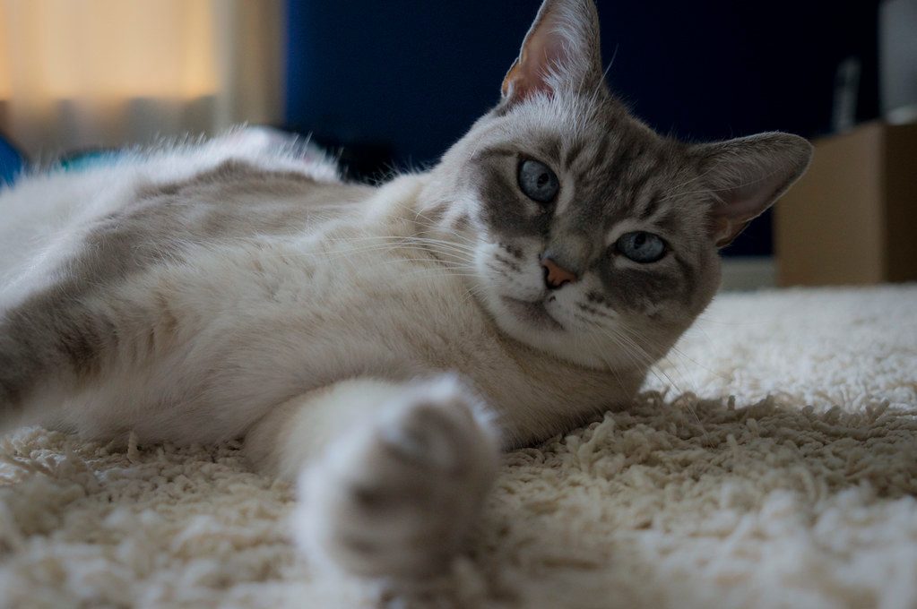 Relaxed Body Posture and Stretching (Image Credits: Flickr)