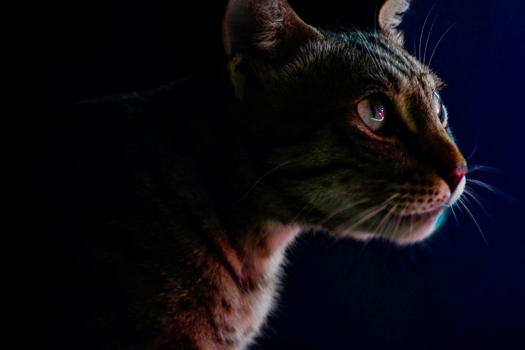 Milo (Image Credits: Unsplash)