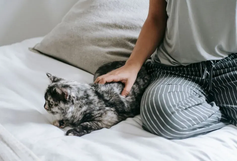 Scorpio: The Intense Bond-Builder Who Values Silent Loyalty (Image Credits: Pexels)