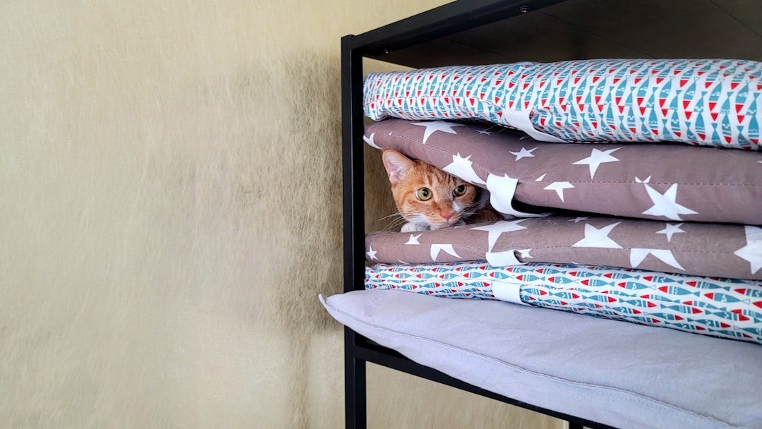 4. Hiding in Small Spaces (Image Credits: Unsplash)