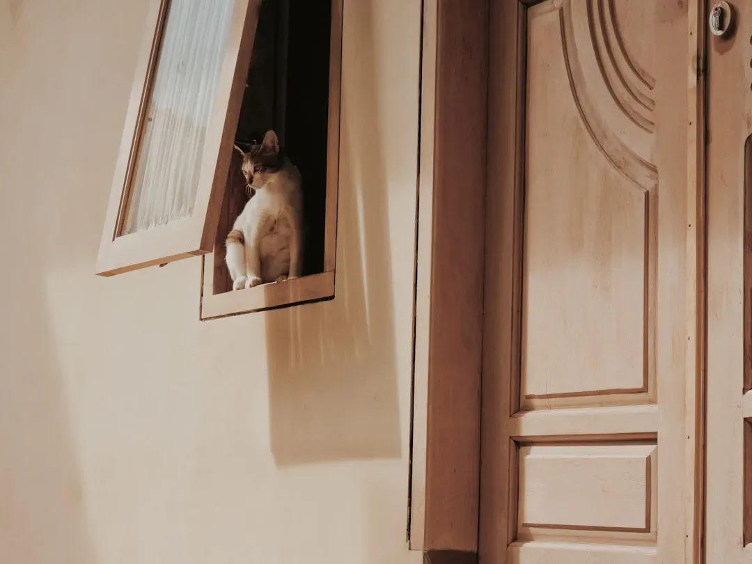 They Greet You at the Door (Image Credits: Unsplash)