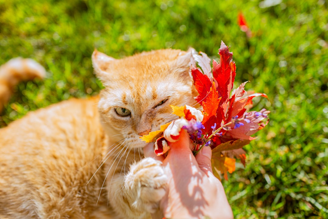 Reading Human Facial Expressions and Body Language (Image Credits: Unsplash)