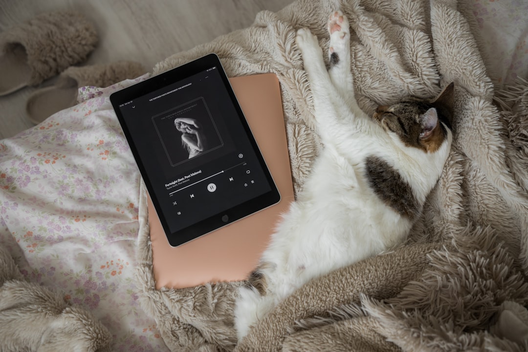 The Cat Who Approached Species-Specific Music (Image Credits: Unsplash)