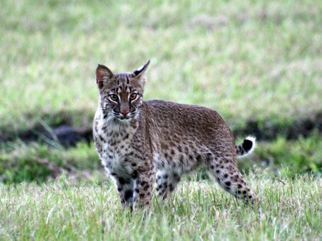 Conclusion (Image Credits: Flickr)