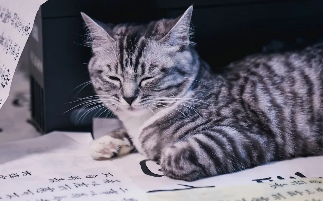 Why Closing Their Eyes Is Such a Vulnerable Act for a Cat (Image Credits: Unsplash)