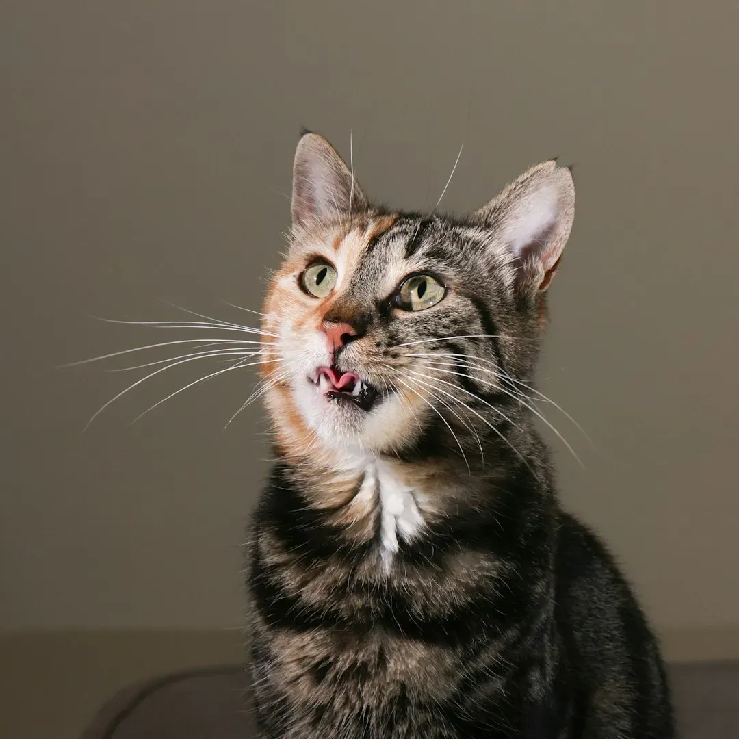 Conclusion (Image Credits: Unsplash)