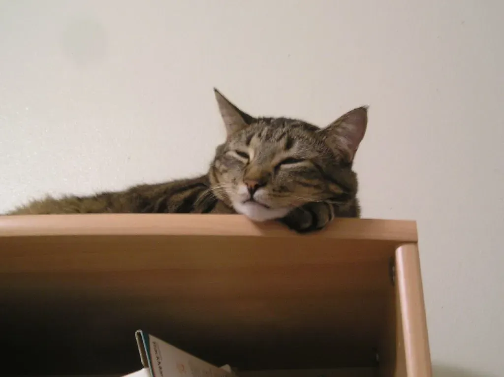 High Places Belong to Them (Image Credits: Flickr)