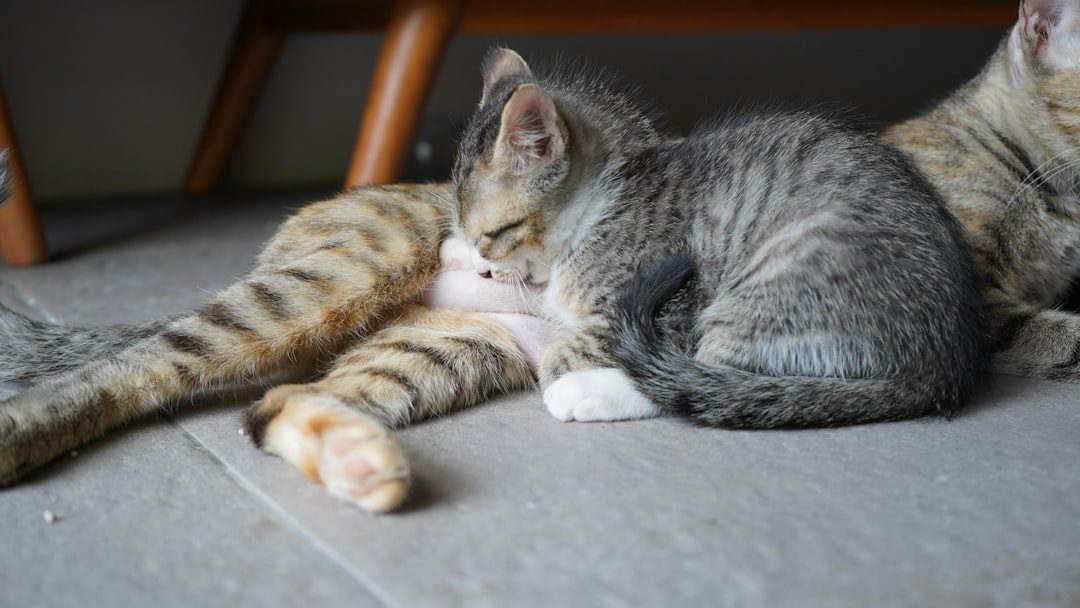 Food as Love Language, Not Manipulation (Image Credits: Unsplash)