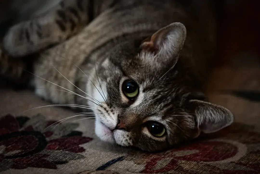 The Domestication Paradox: Independent Yet Attached (Image Credits: Unsplash)