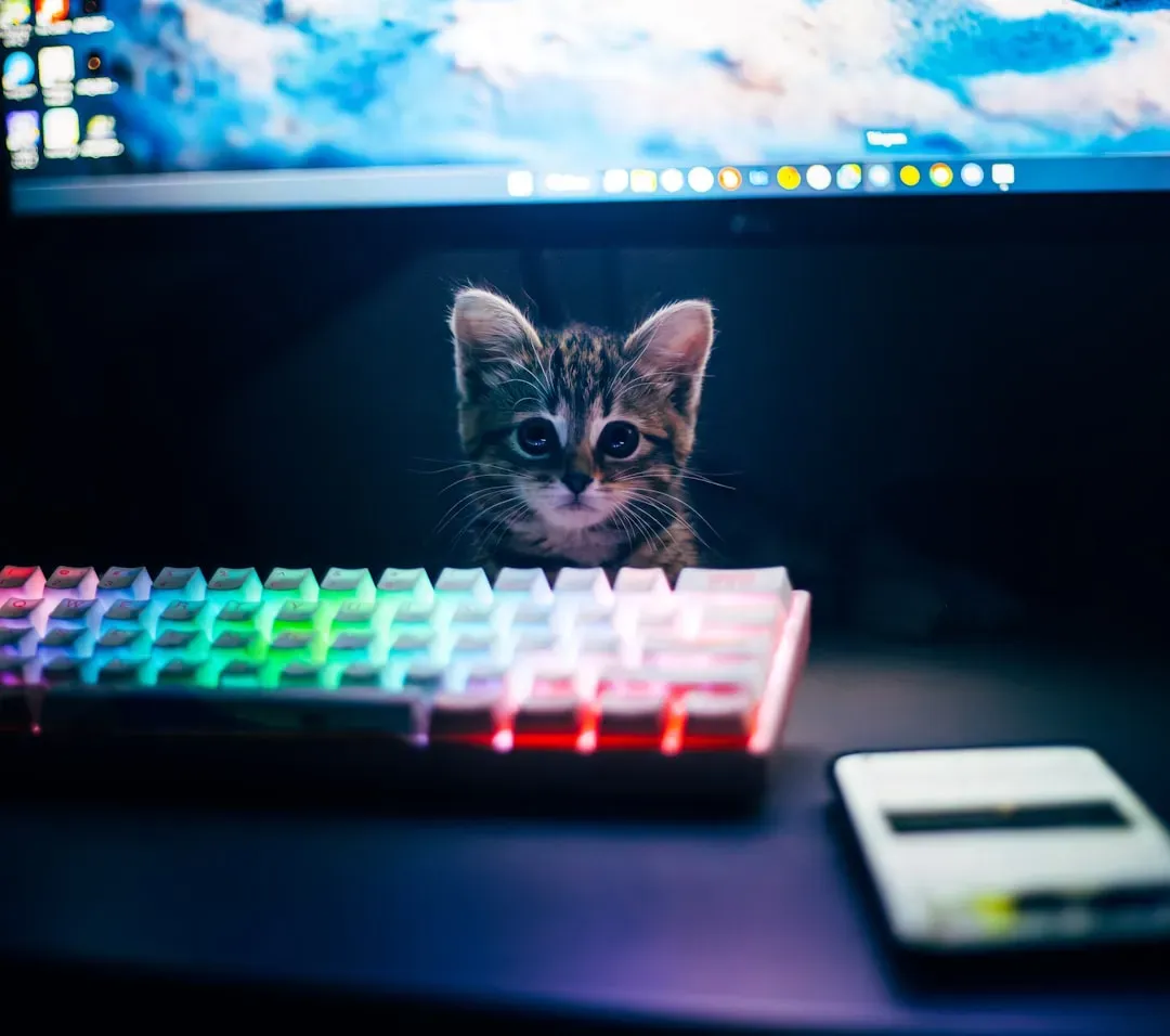 Your Laptop and Computer Keyboard (Image Credits: Unsplash)