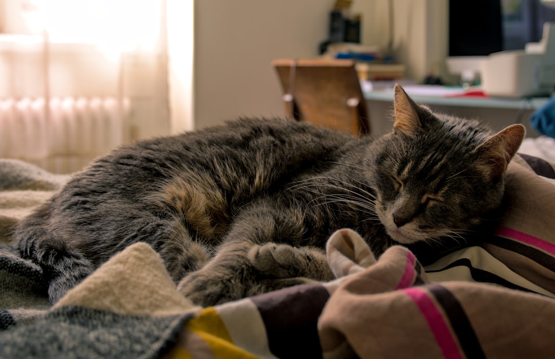 Don't Feel Guilty About the End (Image Credits: Unsplash)