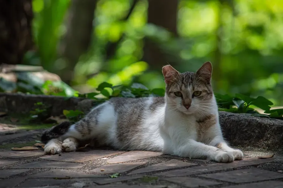 The Real Risks Worth Knowing About (Image Credits: Pexels)