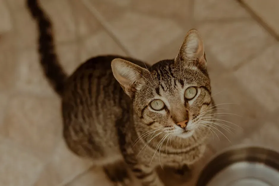 Problem-Solving Skills That Will Astonish You (Image Credits: Pexels)