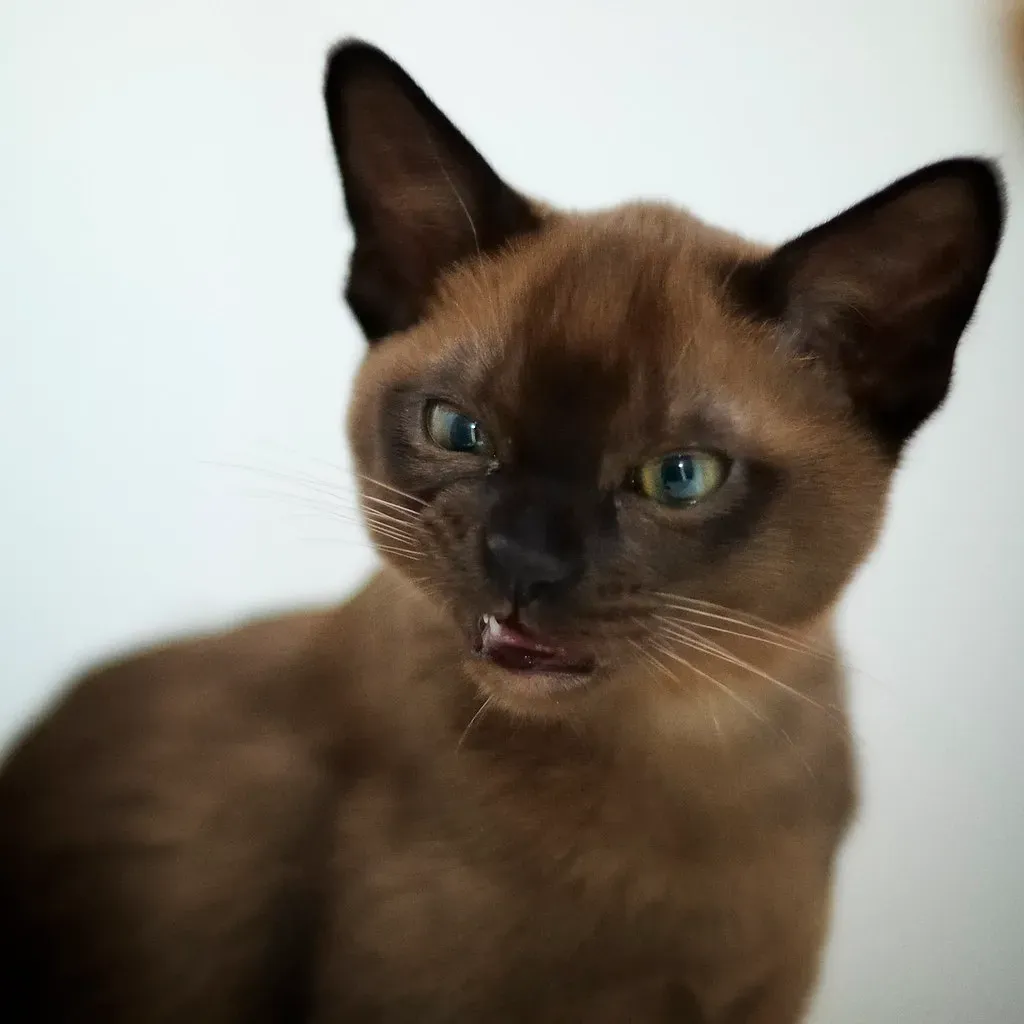 Sometimes They're Manipulating You and It Works (Image Credits: Flickr)