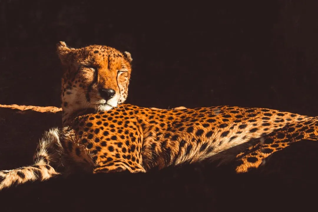 Conclusion: The Price and Beauty of Living on the Edge of Physics (Image Credits: Unsplash)