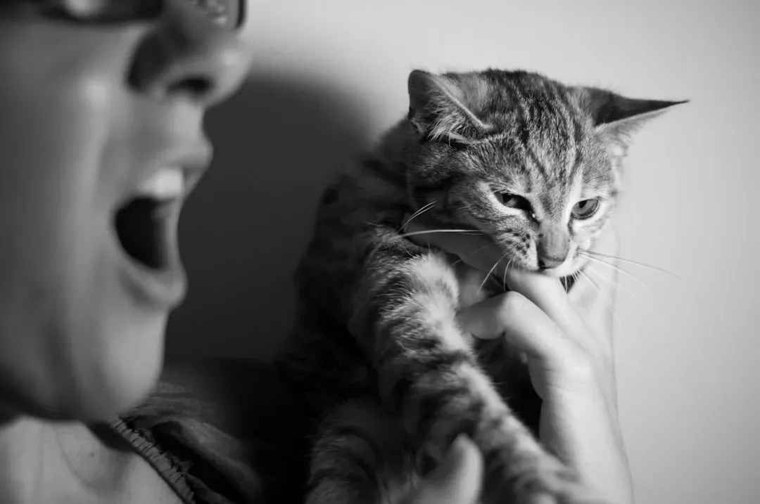 Pain, Discomfort, or Hidden Medical Issues (Image Credits: Unsplash)
