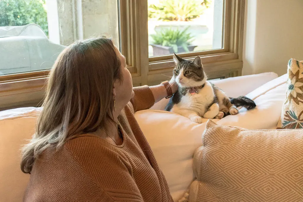 Loud Human Voices and Music (Image Credits: Flickr)