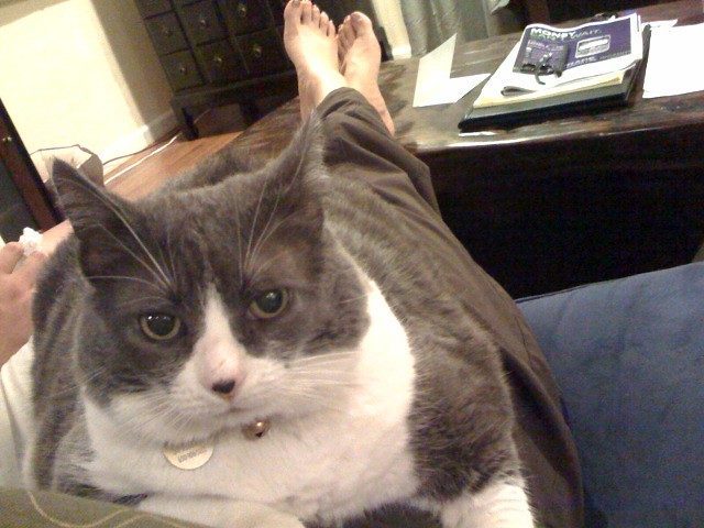 Territorial Marking Establishes Ownership (Image Credits: Flickr)