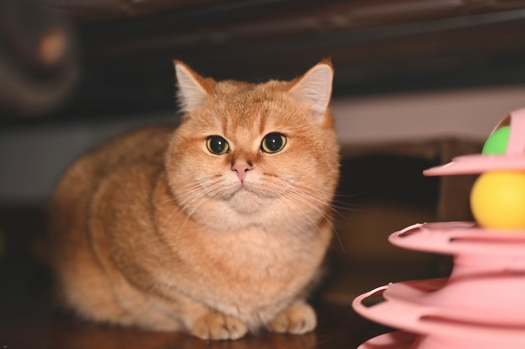 Something in Their Environment Changed (Image Credits: Unsplash)