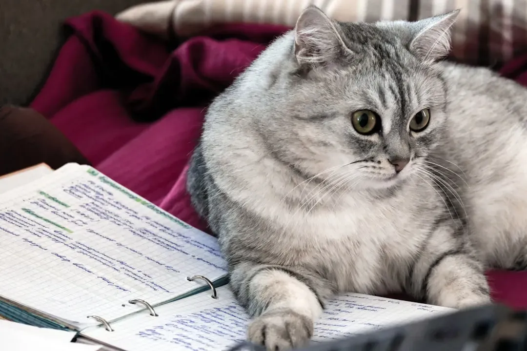 Word Association: Your Cat Learns Language Faster Than You'd Expect (Image Credits: Unsplash)