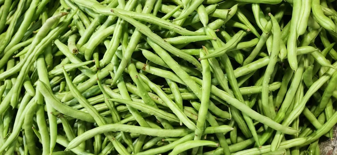 8. Cooked Green Beans - The Low-Calorie Snack for Chunkier Cats (Image Credits: Unsplash)