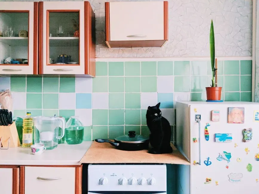 #4 - The Cupboard You Keep Their Food In (Image Credits: Pexels)