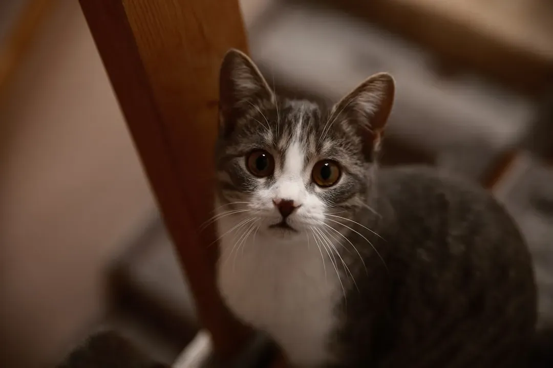 Context Changes Everything You're Seeing (Image Credits: Unsplash)