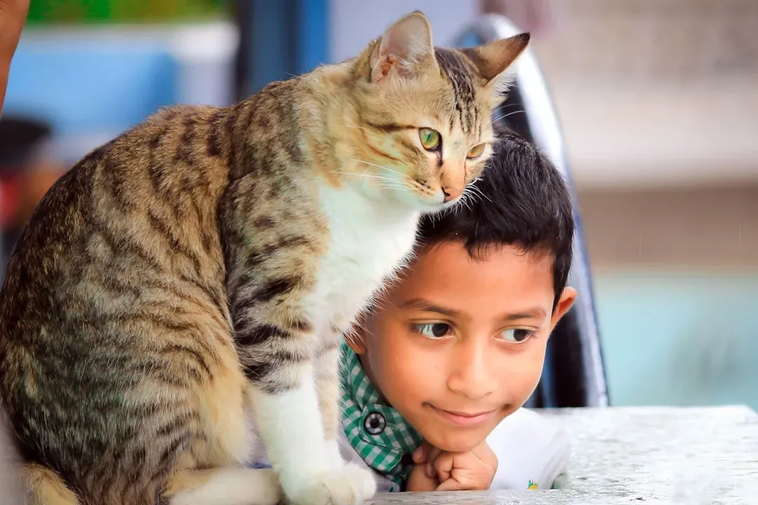 Children Who Grow Up With Cats Develop Key Life Skills (Image Credits: Unsplash)