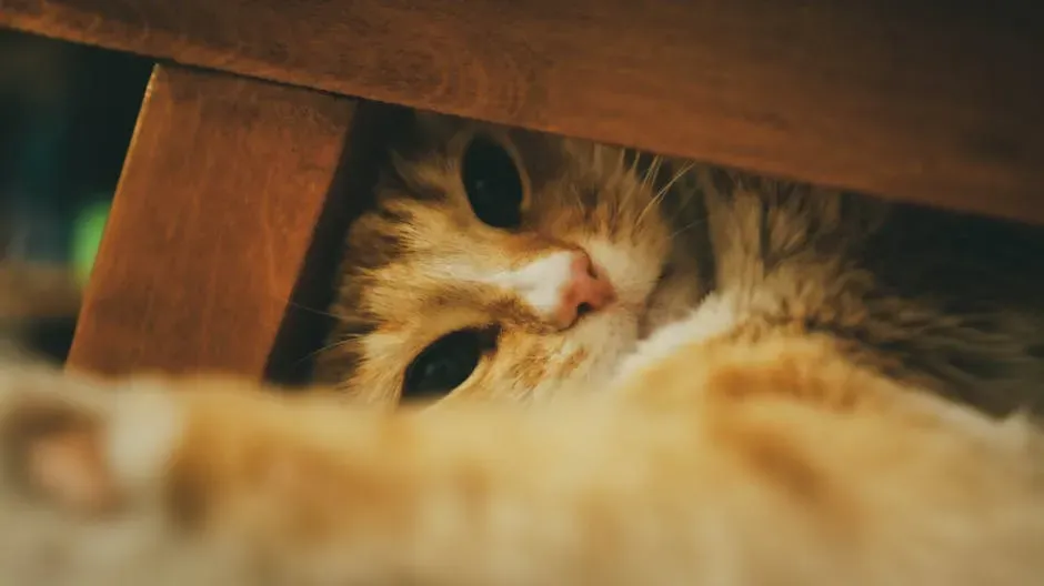 The Evolutionary Blueprint: Predator and Prey at the Same Time (Image Credits: Pexels)