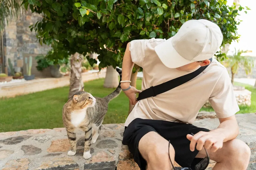Myth #8: Cats Can't Recognize Their Owner's Voice or Mood (Image Credits: Unsplash)