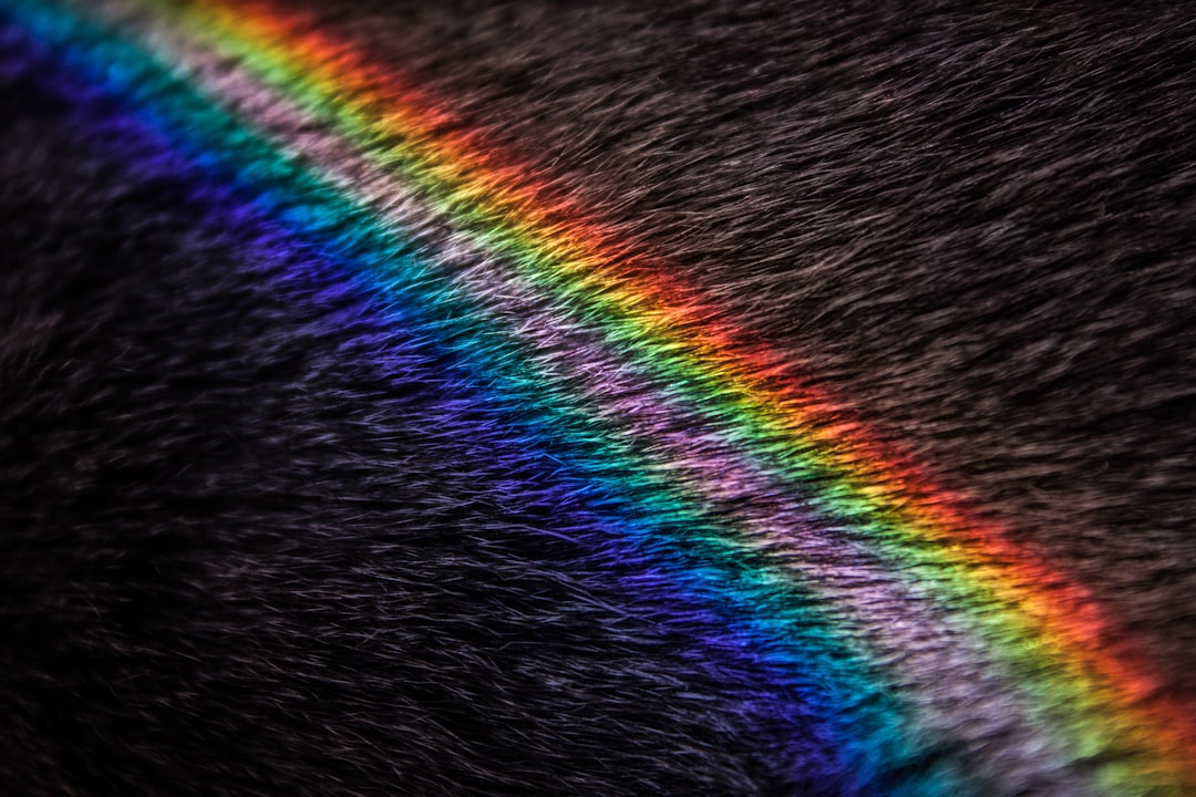 The Rainbow Bridge Connection (Image Credits: Unsplash)