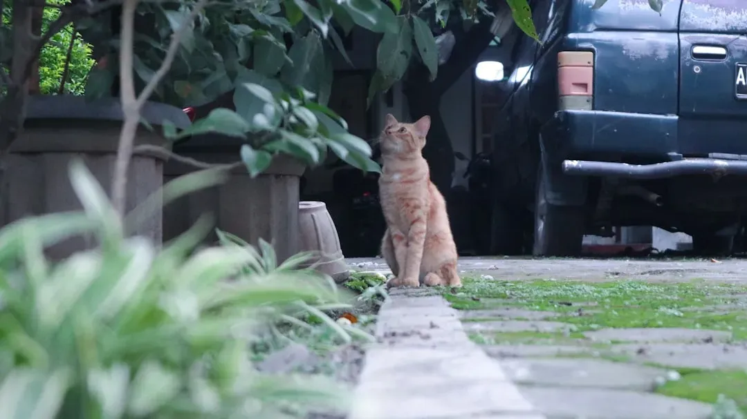 They Patrol Like Sentries (Image Credits: Unsplash)