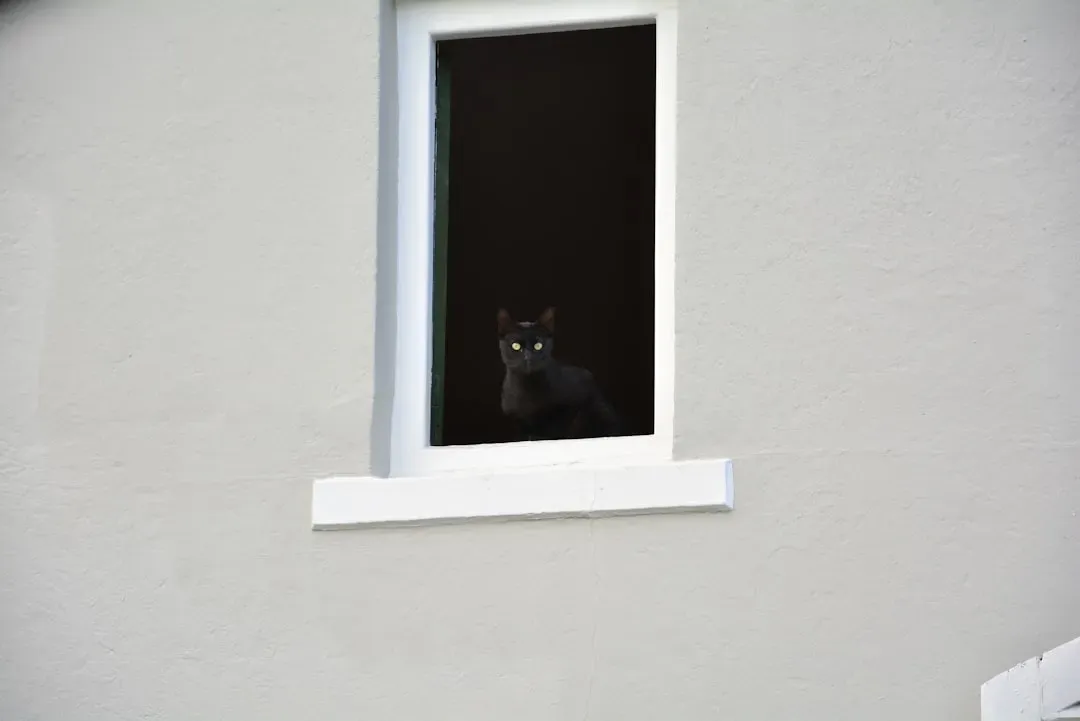 When Window Watching Becomes Concerning (Image Credits: Unsplash)