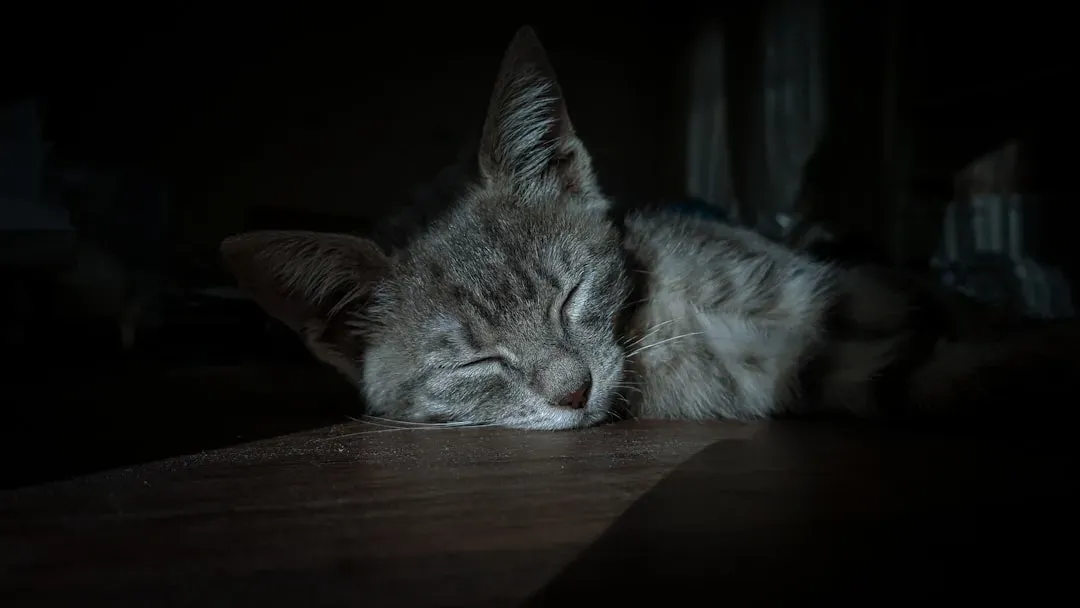 7. Sleeping Too Much or Restless at Night (Image Credits: Unsplash)