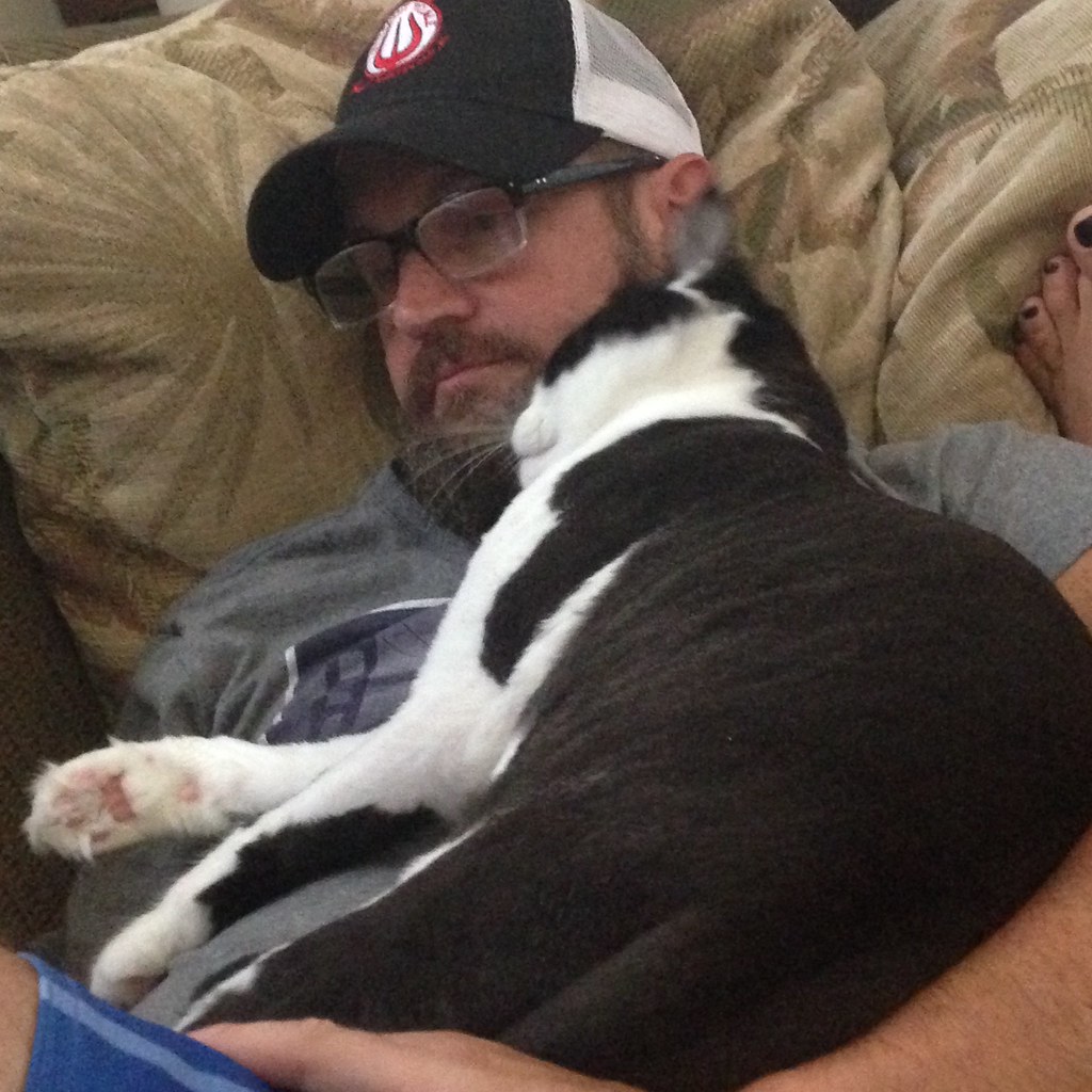 They Choose Your Lap for Extended Napping Sessions (Image Credits: Flickr)