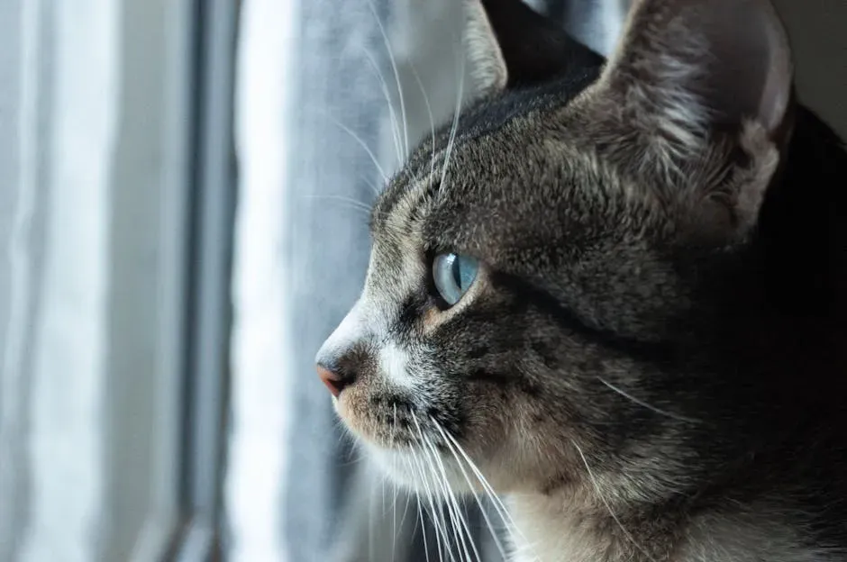 Memory That Puts Many Animals to Shame (Image Credits: Pexels)