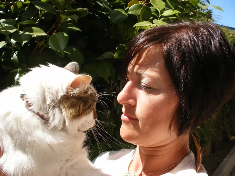 How Cats Actually Choose Their Favorite Person (Image Credits: Flickr)