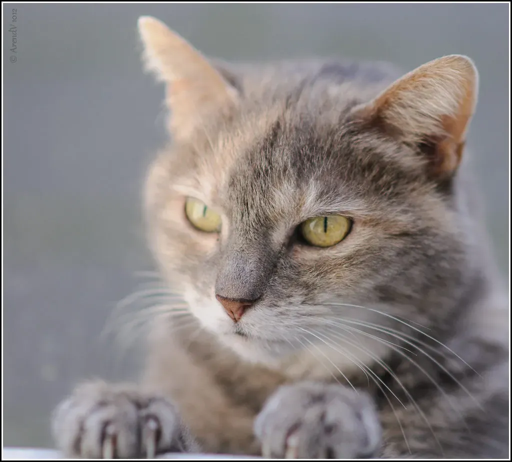 Your Daily Routine Is Memorized Down to the Minute (Arend Vermazeren, Flickr, CC BY 2.0)