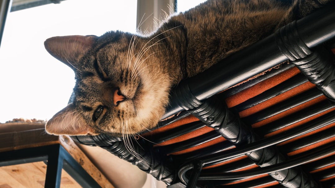 When Cooling Goes Wrong (Image Credits: Unsplash)
