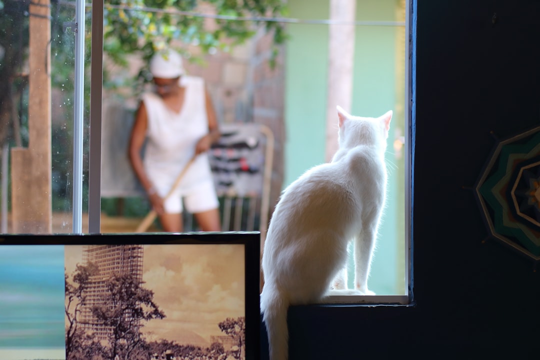 They Notice Changes in Your Daily Routines and Behavior Patterns (Image Credits: Unsplash)