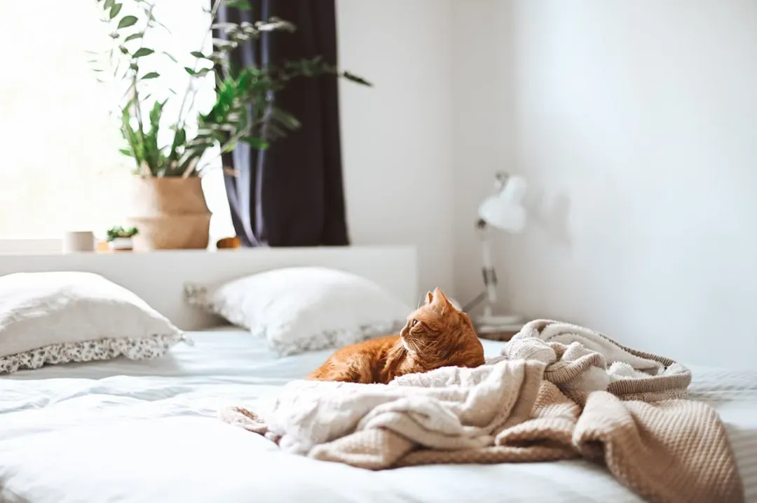 #11 - The Careful Positioning Around Your Bed (Image Credits: Unsplash)