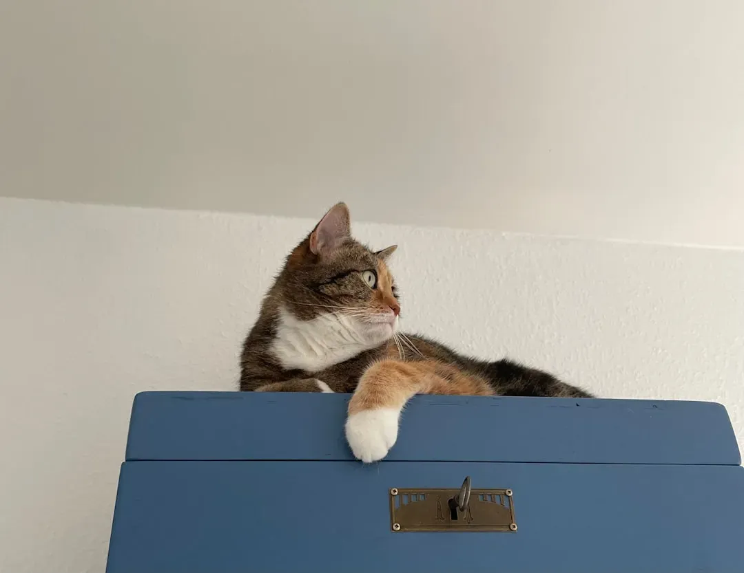 Territory and Status Markers (Image Credits: Unsplash)