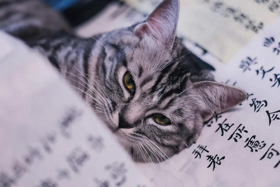 They Are Master Problem-Solvers in Disguise (Image Credits: Unsplash)