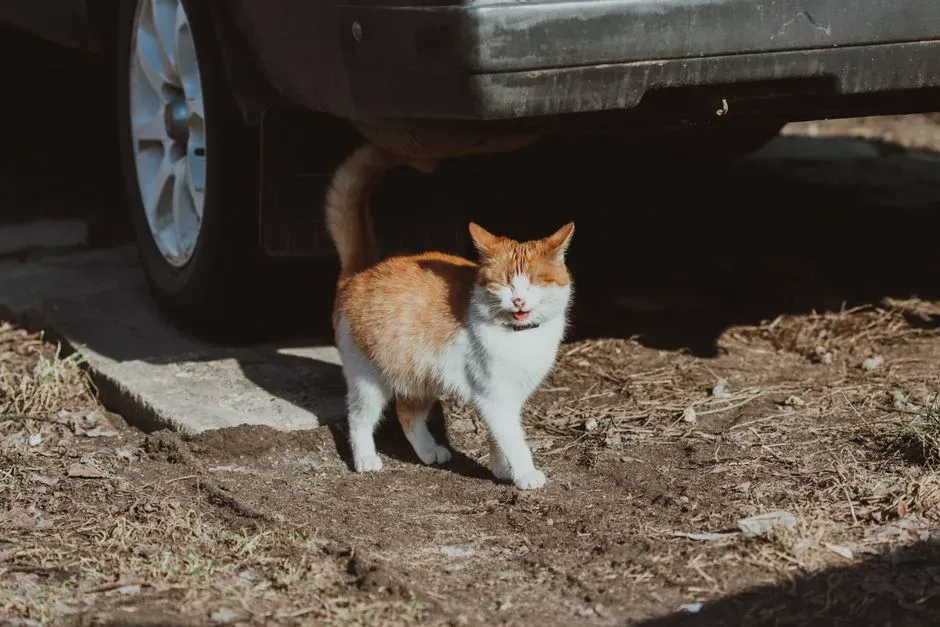 #7 - The Sound of Your Car Pulling Into the Driveway (Image Credits: Pexels)