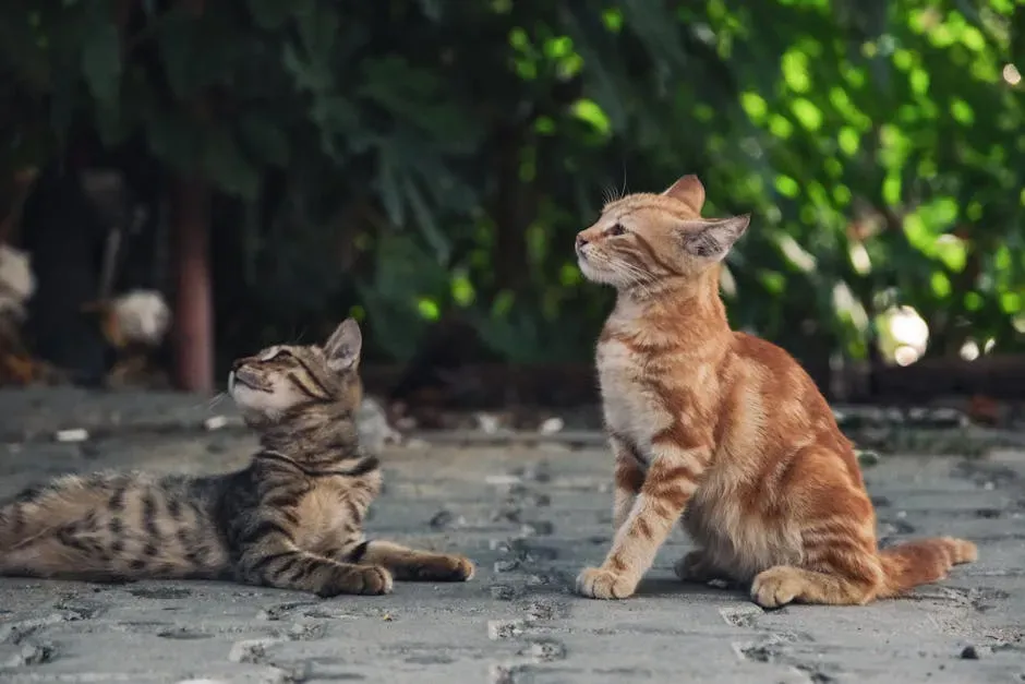 A Final Thought (Image Credits: Pexels)