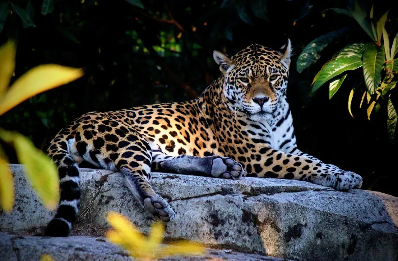 Their Diet Flexibility Is Absolutely Remarkable (Image Credits: Pixabay)