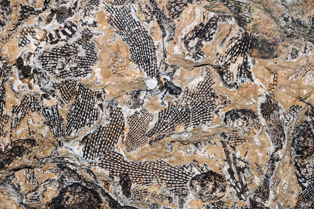 Temperature and Salinity Secrets Locked in Stone (Image Credits: Unsplash)