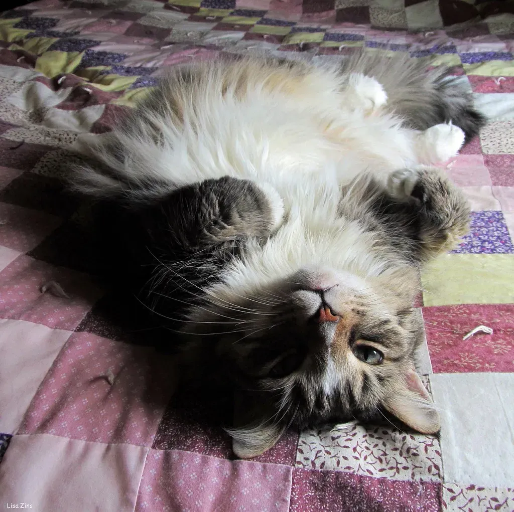 Fact: You Can Be Present or Say Goodbye Beforehand (Image Credits: Flickr)