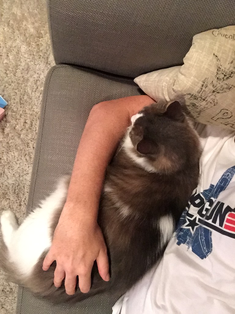 Scorpio: The Intense Healers (Image Credits: Flickr)