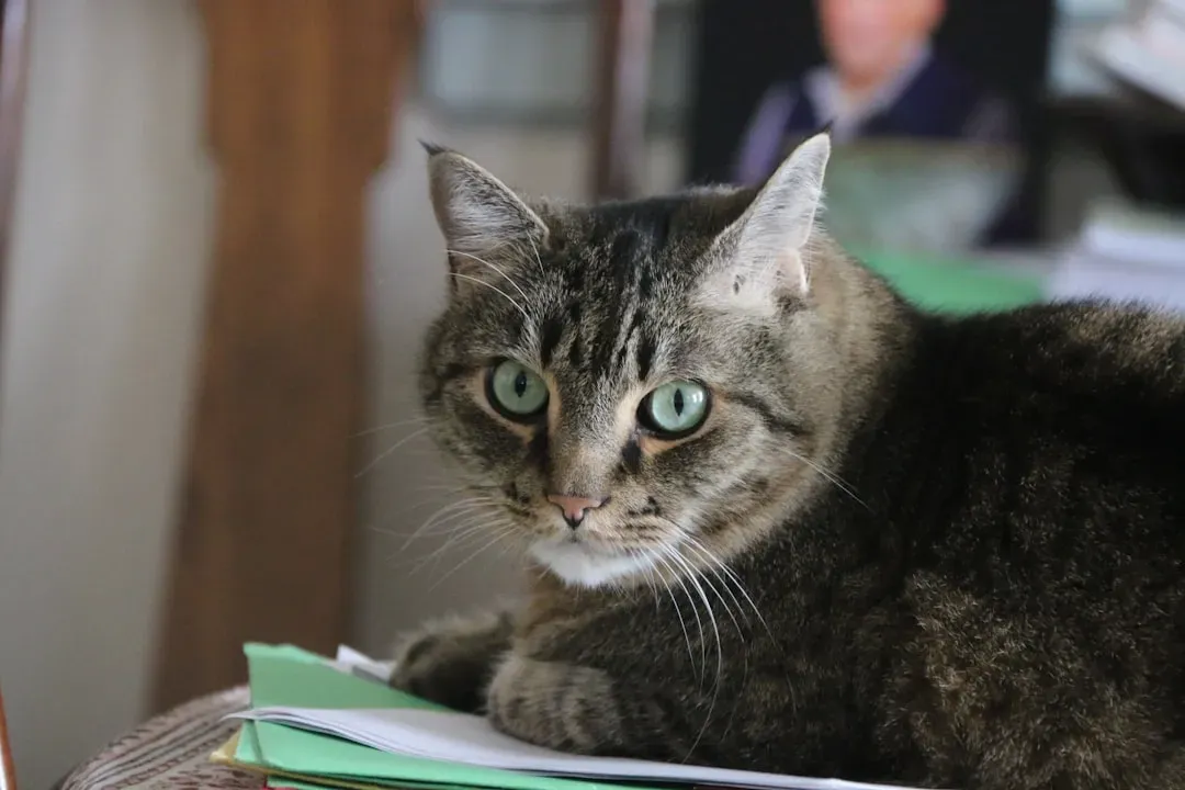 3. The Noise Level in Your Home (Image Credits: Unsplash)